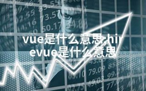 vue是什么意思;hirevue是什么意思