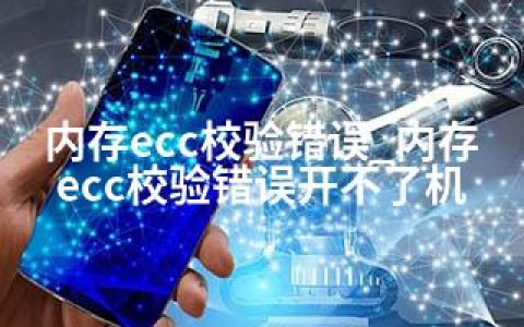 内存ecc校验错误_内存ecc校验错误开不了机