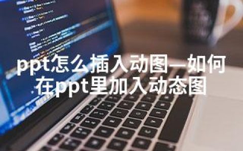 ppt怎么插入动图—如何在ppt里加入动态图