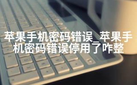 苹果手机密码错误_苹果手机密码错误停用了咋整