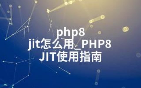 php8 jit怎么用_PHP8 JIT使用指南