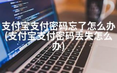 支付宝支付密码忘了怎么办(支付宝支付密码丢失怎么办)