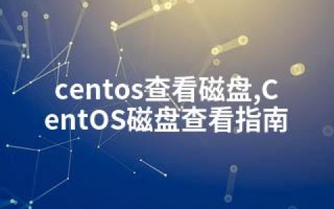 centos查看磁盘,CentOS磁盘查看指南