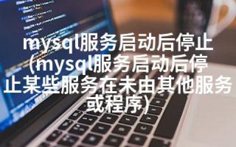 mysql服务启动后停止(mysql服务启动后停止某些服务在未由其他服务或程序)