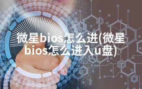 微星bios怎么进(微星bios怎么进入u盘)