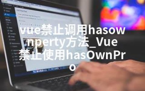 vue禁止调用hasownperty方法_Vue禁止使用hasOwnPro