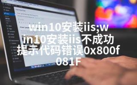 win10安装iis;win10安装iis不成功提示代码错误0x800f081F