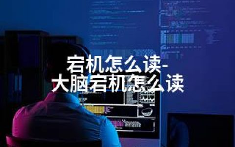 宕机怎么读-大脑宕机怎么读