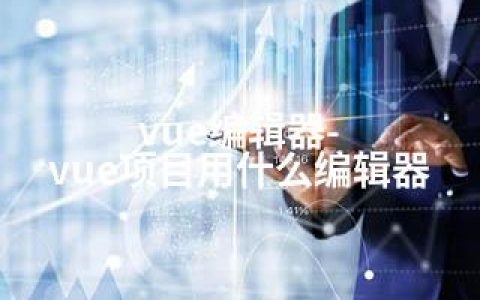 vue编辑器-vue项目用什么编辑器