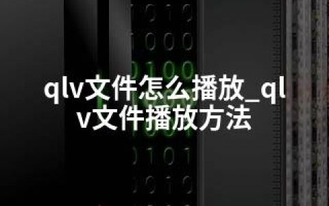 qlv文件怎么播放_qlv文件播放方法