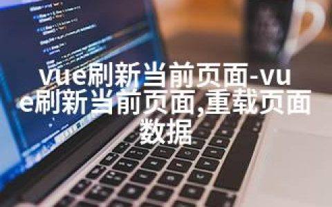 vue刷新当前页面-vue刷新当前页面,重载页面数据