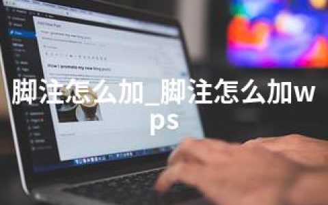 脚注怎么加_脚注怎么加wps