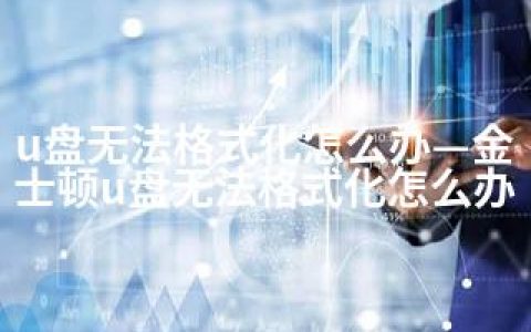 u盘无法格式化怎么办—金士顿u盘无法格式化怎么办