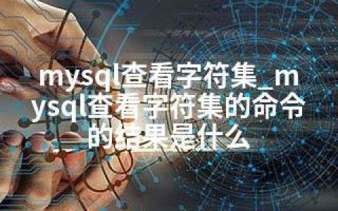 mysql查看字符集_mysql查看字符集的命令的结果是什么