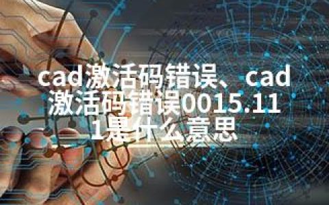 cad激活码错误、cad激活码错误0015.111是什么意思