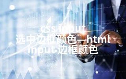 css input 选中边框颜色—html input 边框颜色