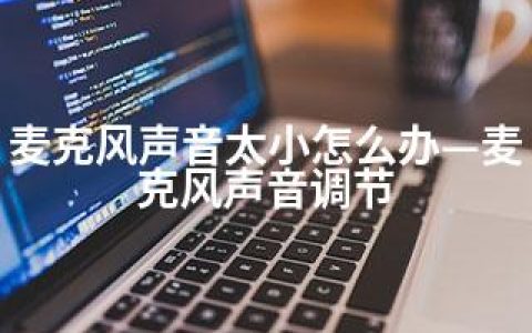 麦克风声音太小怎么办—麦克风声音调节