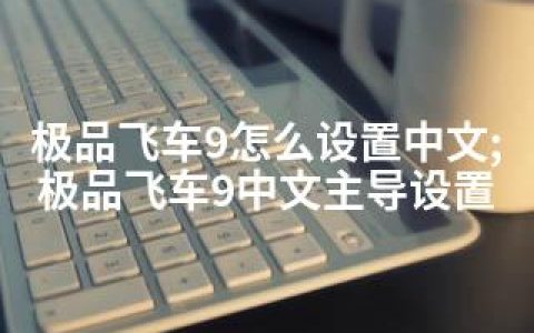 飞车9怎么设置中文;飞车9中文主导设置