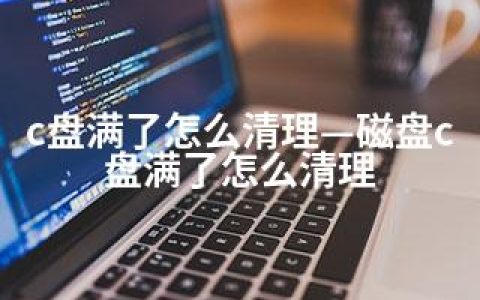 c盘满了怎么清理—磁盘c盘满了怎么清理