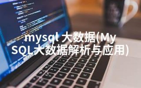 mysql 大数据(MySQL大数据解析与应用)