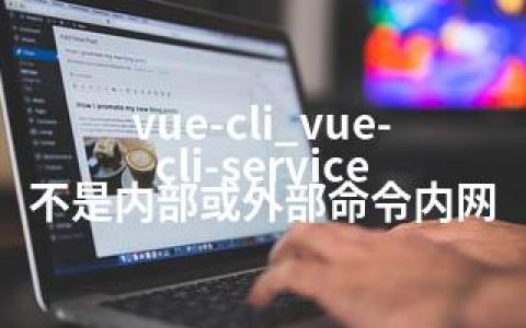 vue-cli_vue-cli-service 不是内部或外部命令内网