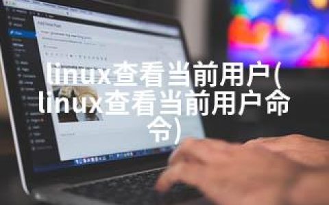 linux查看当前用户(linux查看当前用户命令)