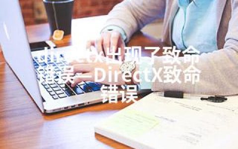 directx出现了致命错误—DirectX致命错误