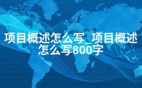 项目概述怎么写_项目概述怎么写800字