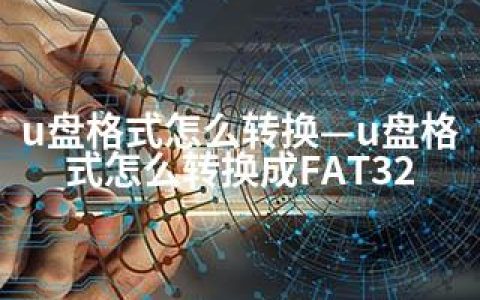 u盘格式怎么转换—u盘格式怎么转换成FAT32