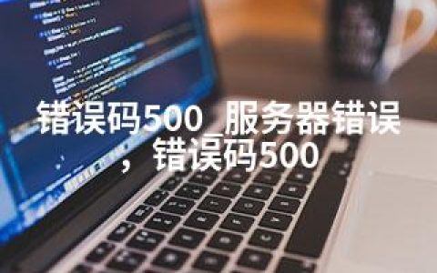 错误码500_服务器错误，错误码500