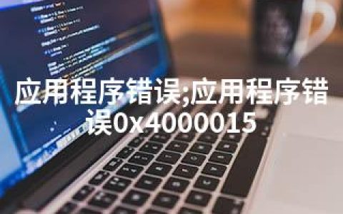 应用程序错误;应用程序错误0x4000015