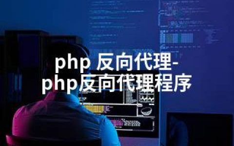 php 反向代理-php反向代理程序