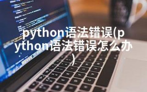 python语法错误(python语法错误怎么办)