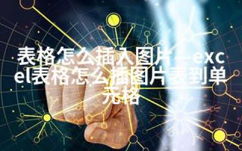 表格怎么插入图片—excel表格怎么插图片表到单元格
