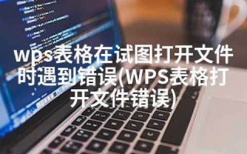 wps表格在试图打开文件时遇到错误(WPS表格打开文件错误)