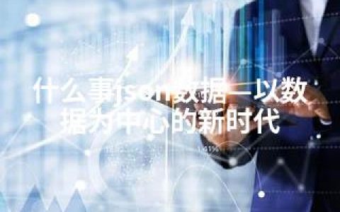 什么事json数据—以数据为中心的新时代