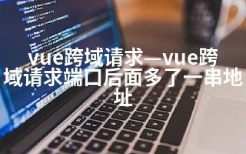 vue跨域请求—vue跨域请求端口后面多了一串地址