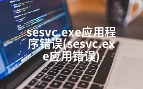 sesvc.exe应用程序错误(sesvc.exe应用错误)