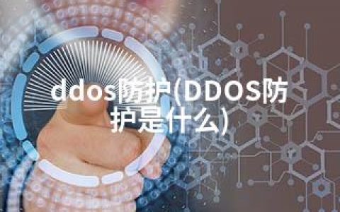 ddos防护(DDOS防护是什么)