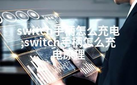 switch手柄怎么充电;switch手柄怎么充电原理