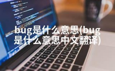 bug是什么意思(bug是什么意思中文翻译)