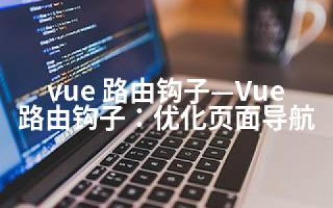vue 路由钩子—Vue路由钩子：优化页面导航