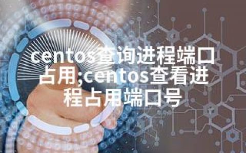 centos查询进程端口占用;centos查看进程占用端口号