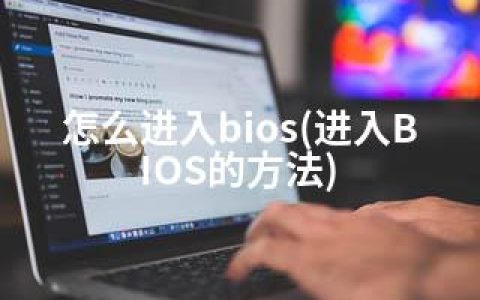 怎么进入bios(进入BIOS的方法)