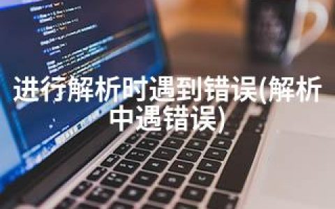 进行解析时遇到错误(解析中遇错误)