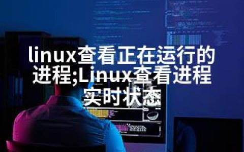 linux查看正在运行的进程;Linux查看进程实时状态