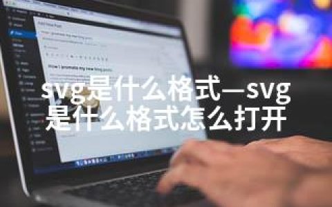svg是什么格式—svg是什么格式怎么打开