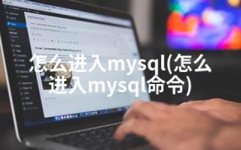 怎么进入mysql(怎么进入mysql命令)