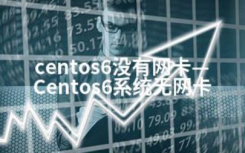 centos6没有网卡—Centos6系统无网卡