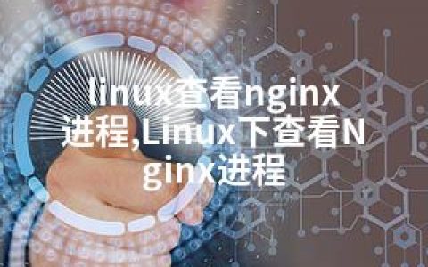 linux查看nginx进程,Linux下查看Nginx进程